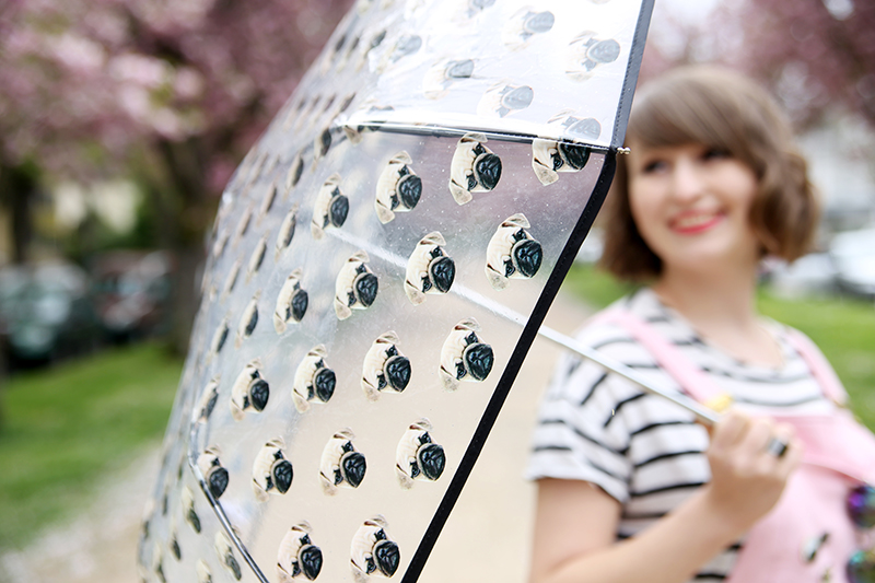 Mopsschirm, transparenter Regenschirm