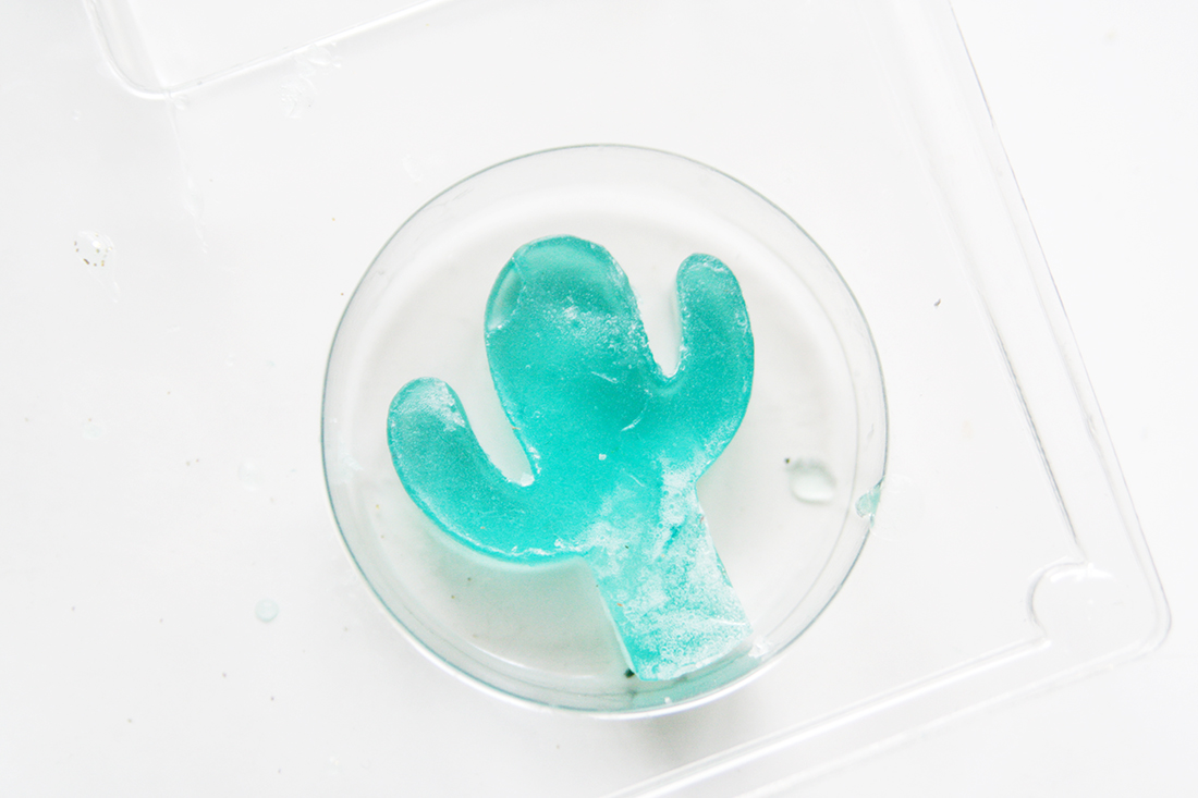 DIY Kaktus Seife selbermachen