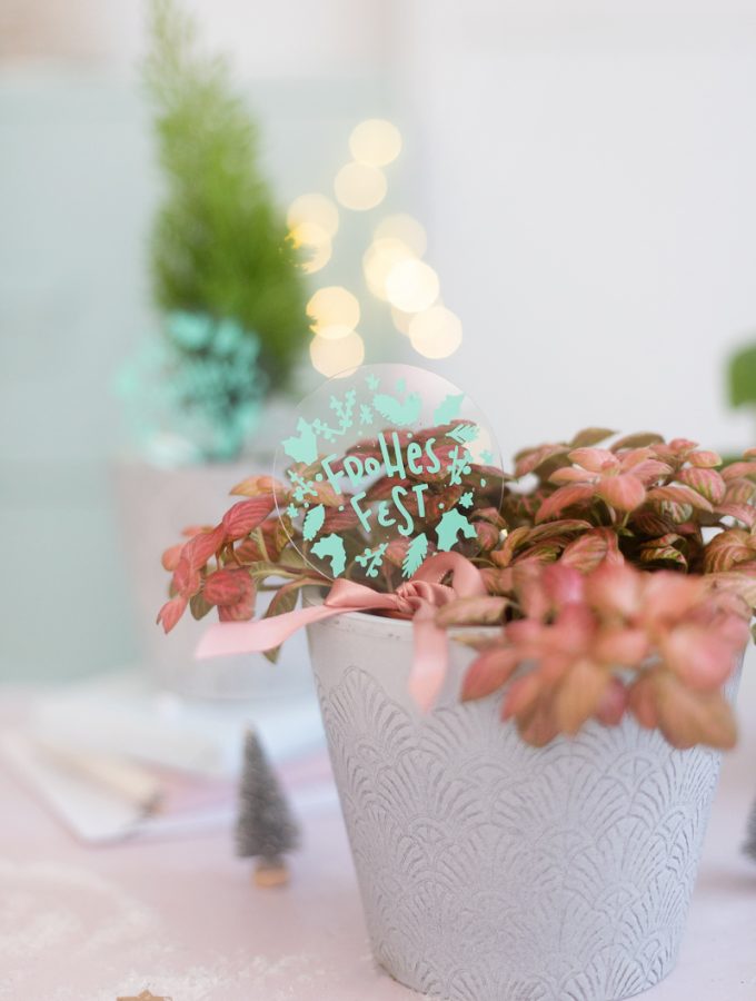 diy-geschenkidee-weihnachten-pflanzen-einpacken-geschenk-20